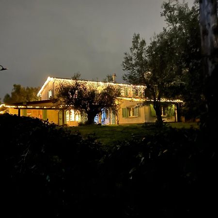 Gli Olivi Bed & Breakfast Formello Exterior photo